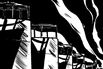2819P_FEATURE_POLYGAMY_01_CMS_horizontal