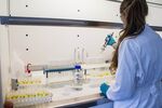 Research Laboratories At Santaris Pharma A/S Following Roche Holding AG Purchase