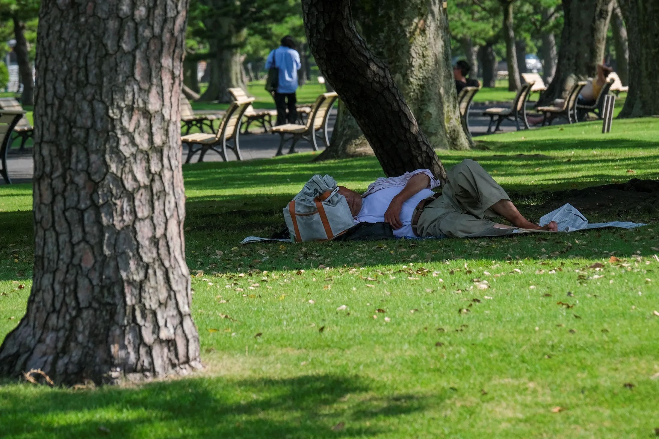 A person rests in park during a heat wave in Tokyo on June 29. 