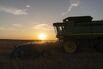 A Wheat Harvest As Grain Futures Mixed With Ukraine And Heat Waves