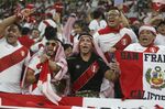 FILE -- Peru fans cheer before the World Cup 2022 qualifying play-off soccer match between Australia and Peru in Al Rayyan, Qatar, Monday, June 13, 2022. Qatar’s ambassador to Germany was personally urged to abolish his country’s death penalty for homosexuality at a congress hosted by the German soccer federation on human rights in the World Cup host country. (AP Photo/Hussein Sayed, file)