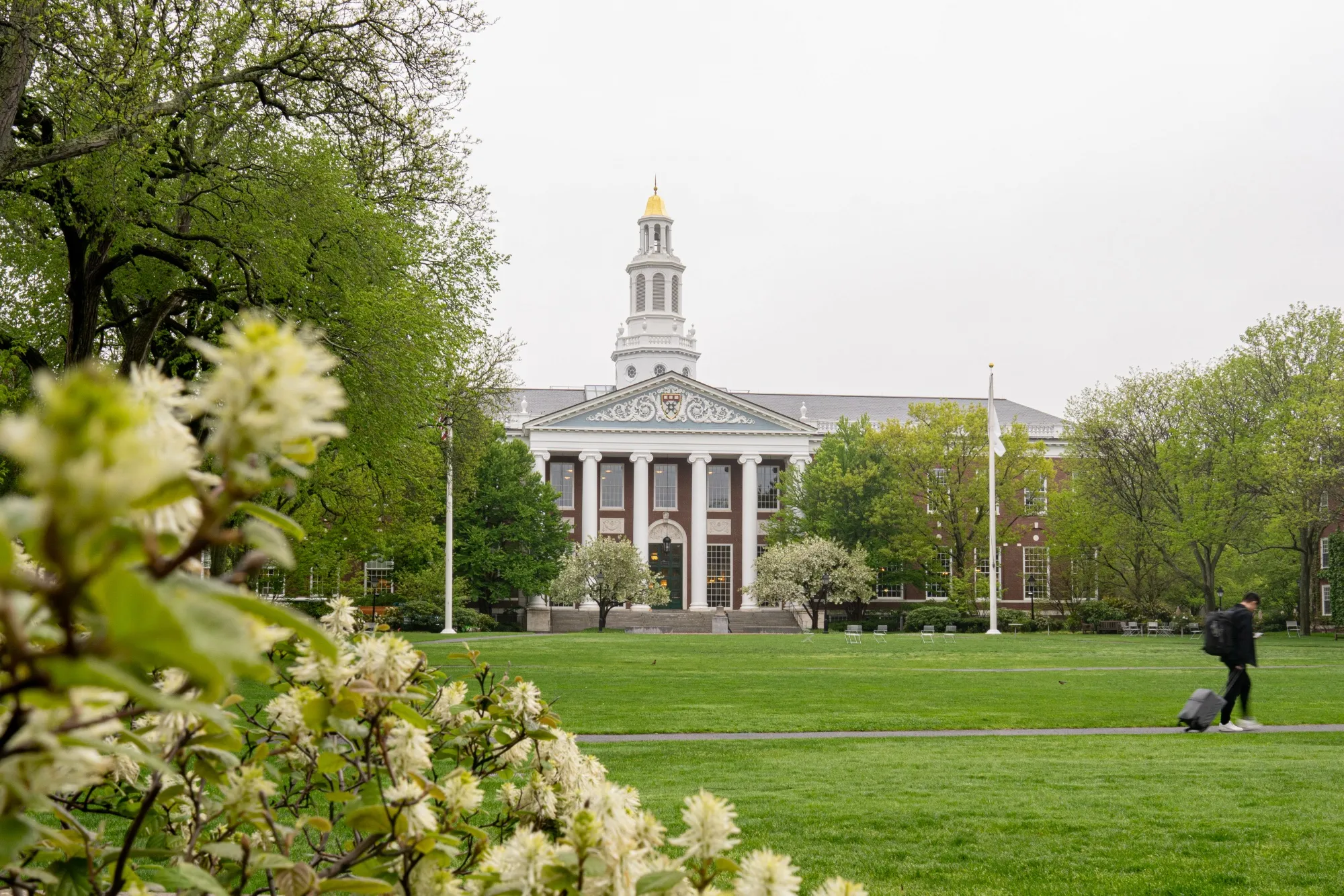 The Harvard University campus in Cambridge, Massachusetts.
