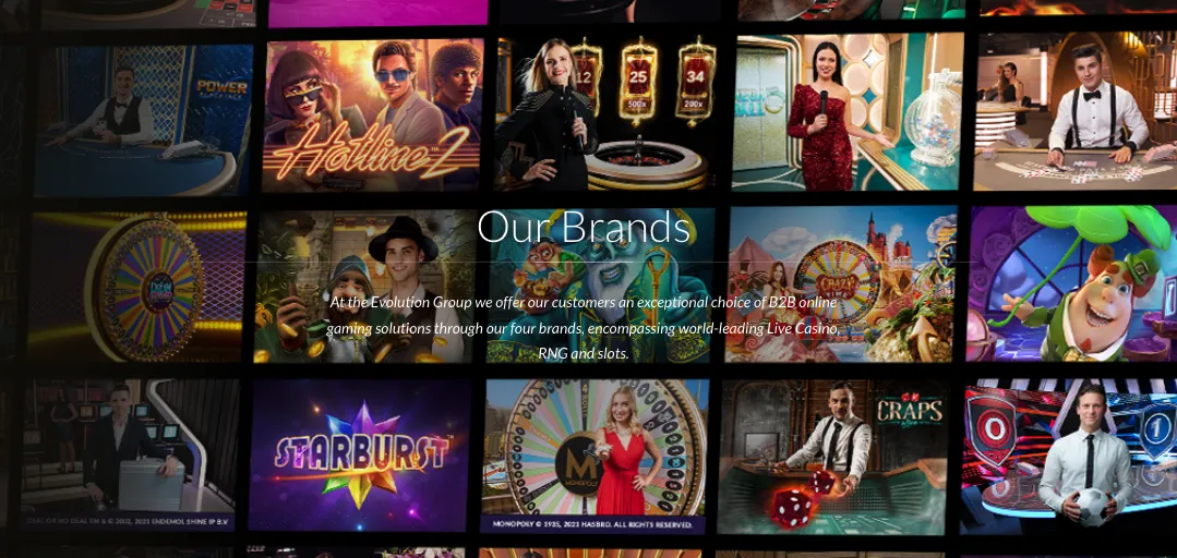 The&nbsp;Evolution website.