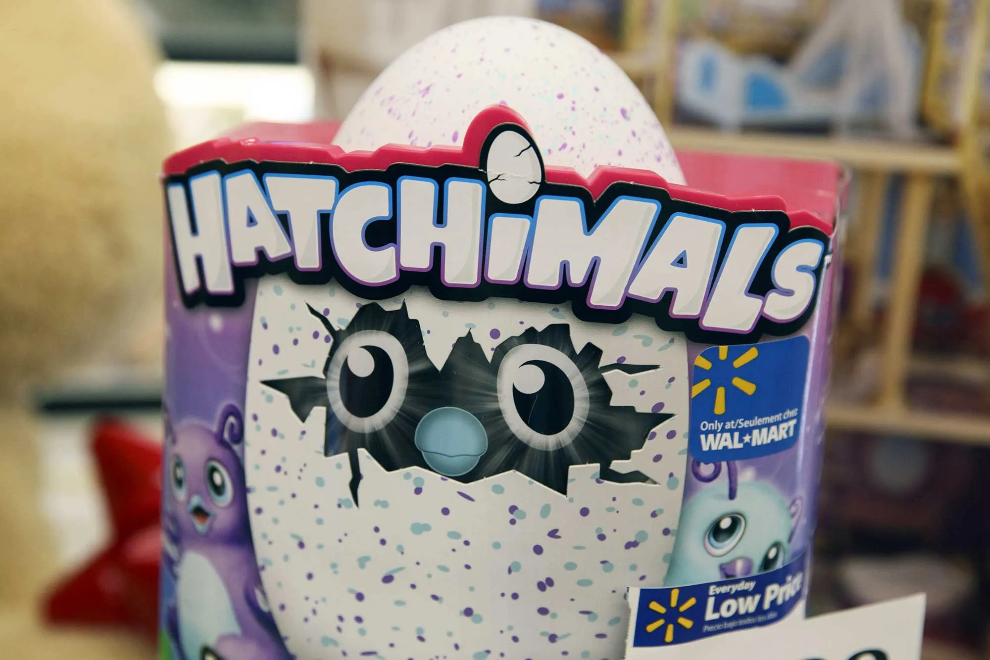 Hatchimals Craze Pushes Toymaker Spin Master to a Record High Bloomberg