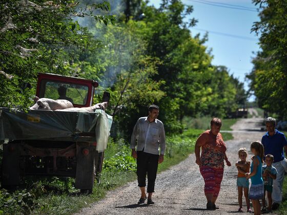 Romanian Farmers Panic Over Order to Contain African Swine Fever