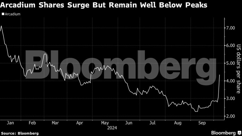 Arcadium Shares Surge But Remain Well Below Peaks