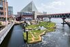 A Floating Island in Baltimore Raises Hope for a Waterfront Revival