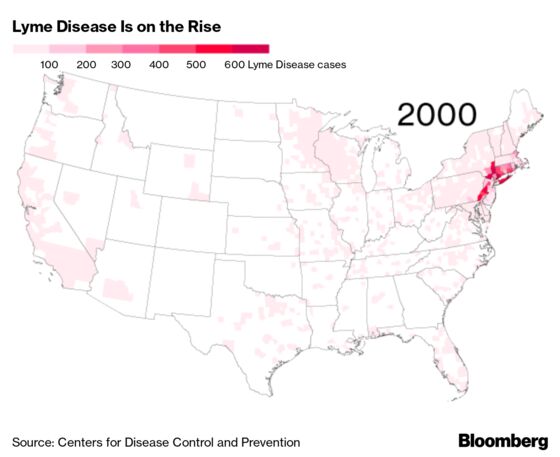 Disease-Spreading Ticks Keep Marching North as Weather Stays Warmer