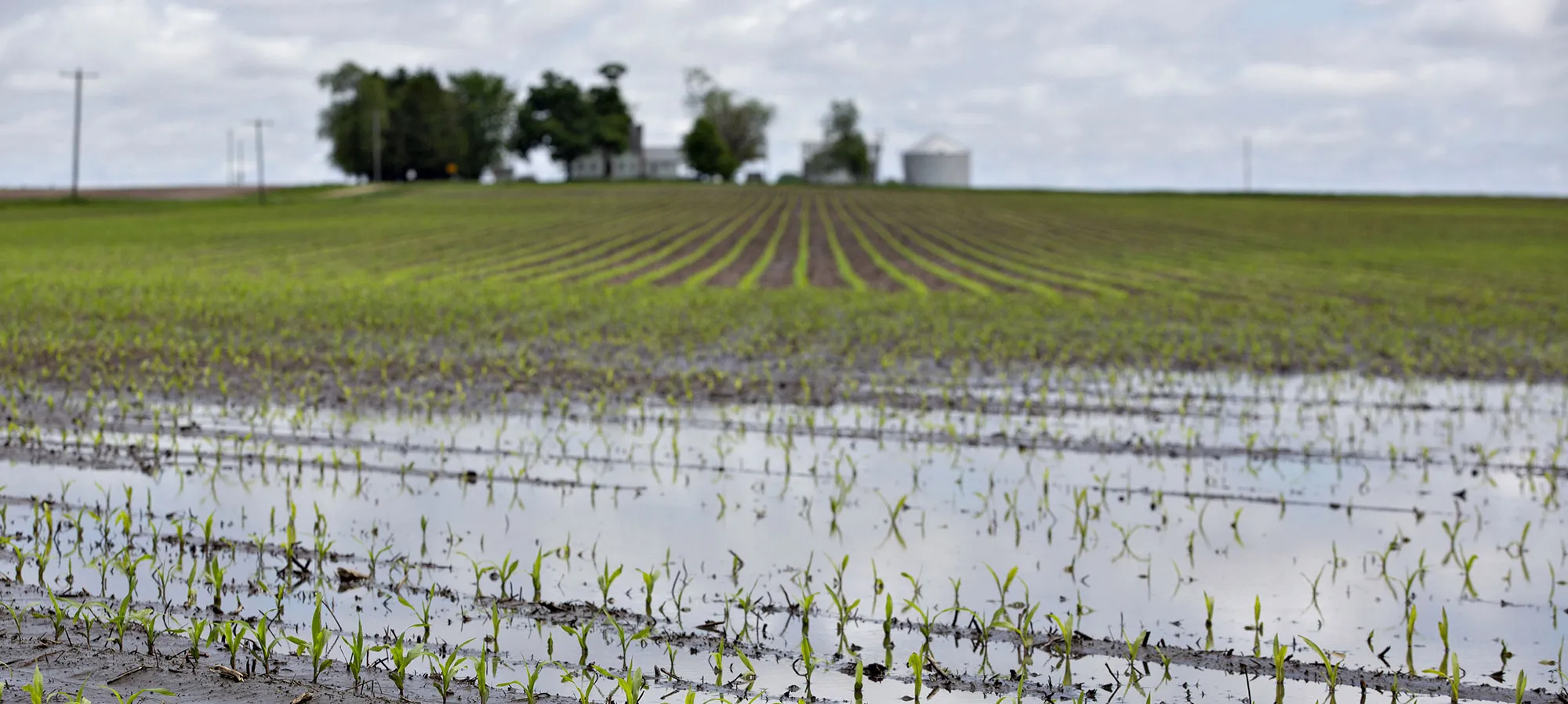 Incessant Rain Puts U.S. Farmers On Insurance-Deadline Watch