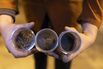 EV Battery Heavyweights Revive City's Dream of Factory Glory