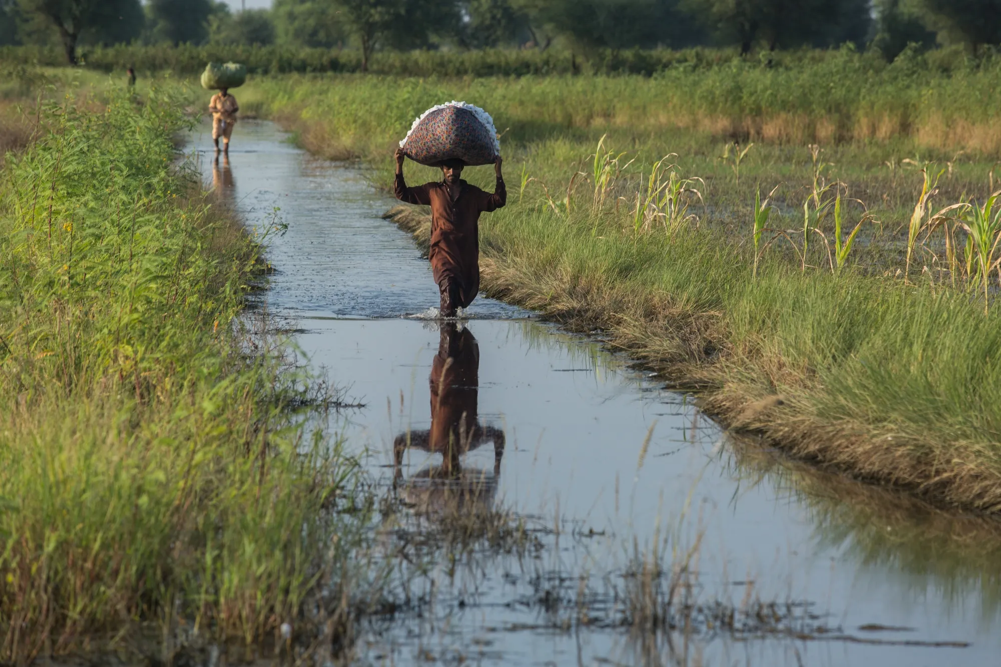 Pakistan’s cotton crop was damaged by catastrophic floods.