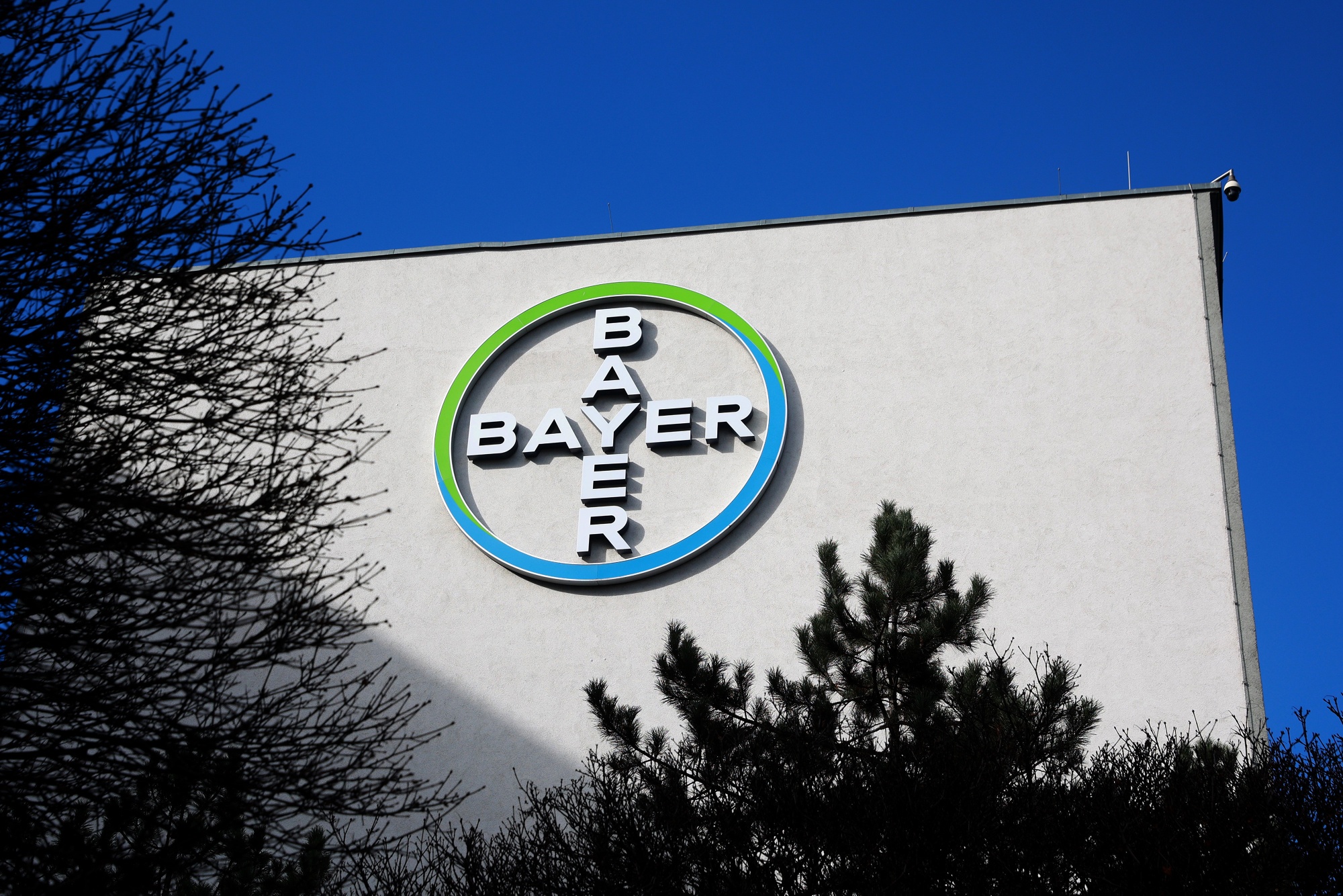 Bayer Menopause Drug Shows Positive Result in Late-Stage Trials - Bloomberg