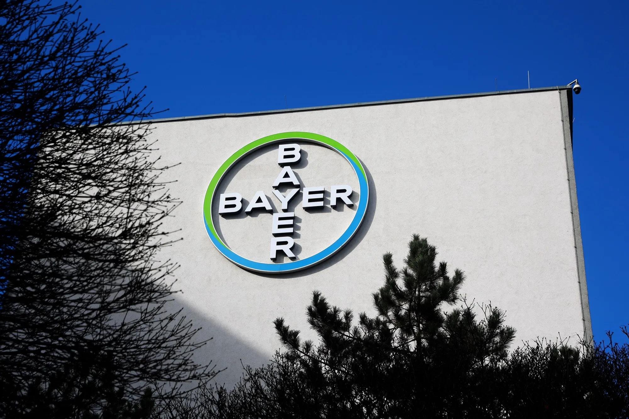 The logo of Bayer AG at the company's pharmaceutical campus in Berlin.