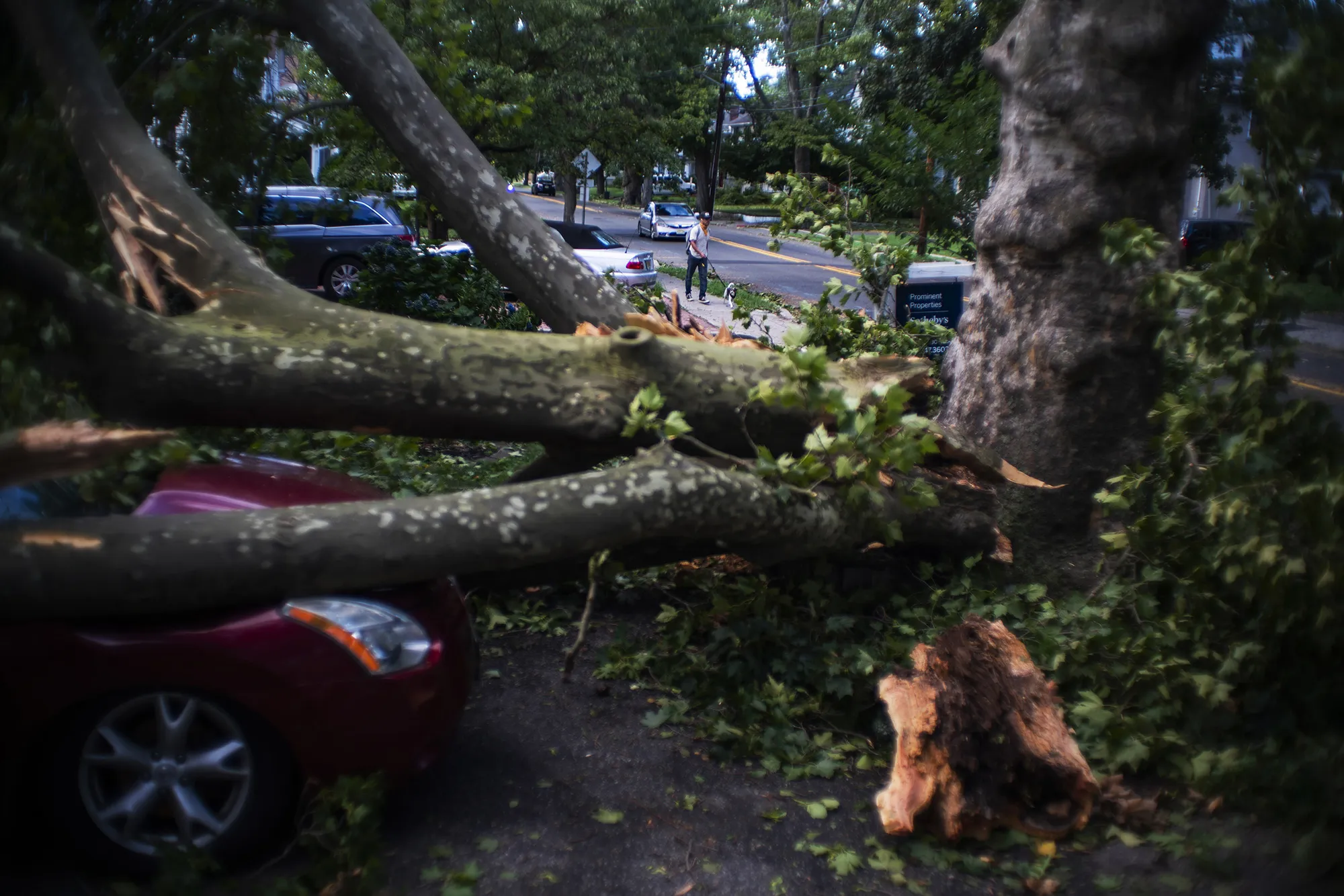 Cars and a house sit&nbsp;damaged by a fallen tree in Bogota, New Jersey on Aug. 4.