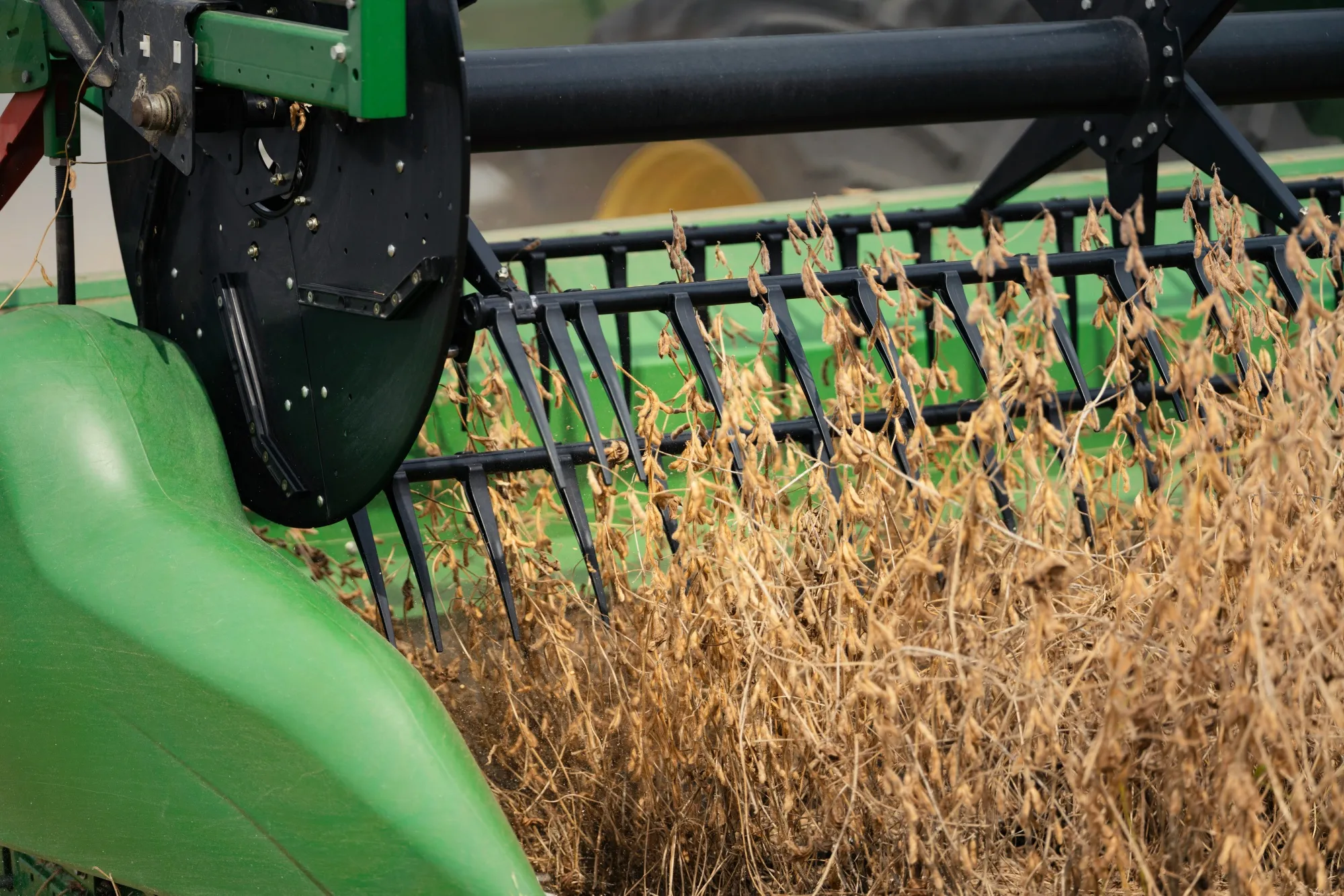 Soybean Harvest Kicks Off in US as Farmer Challenges Mount - Bloomberg