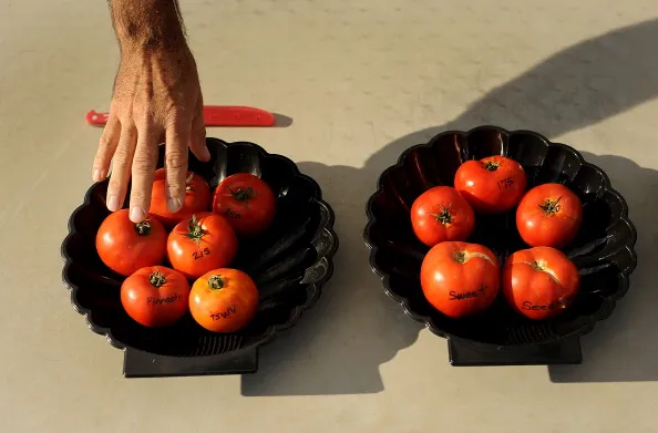 21st-century food.