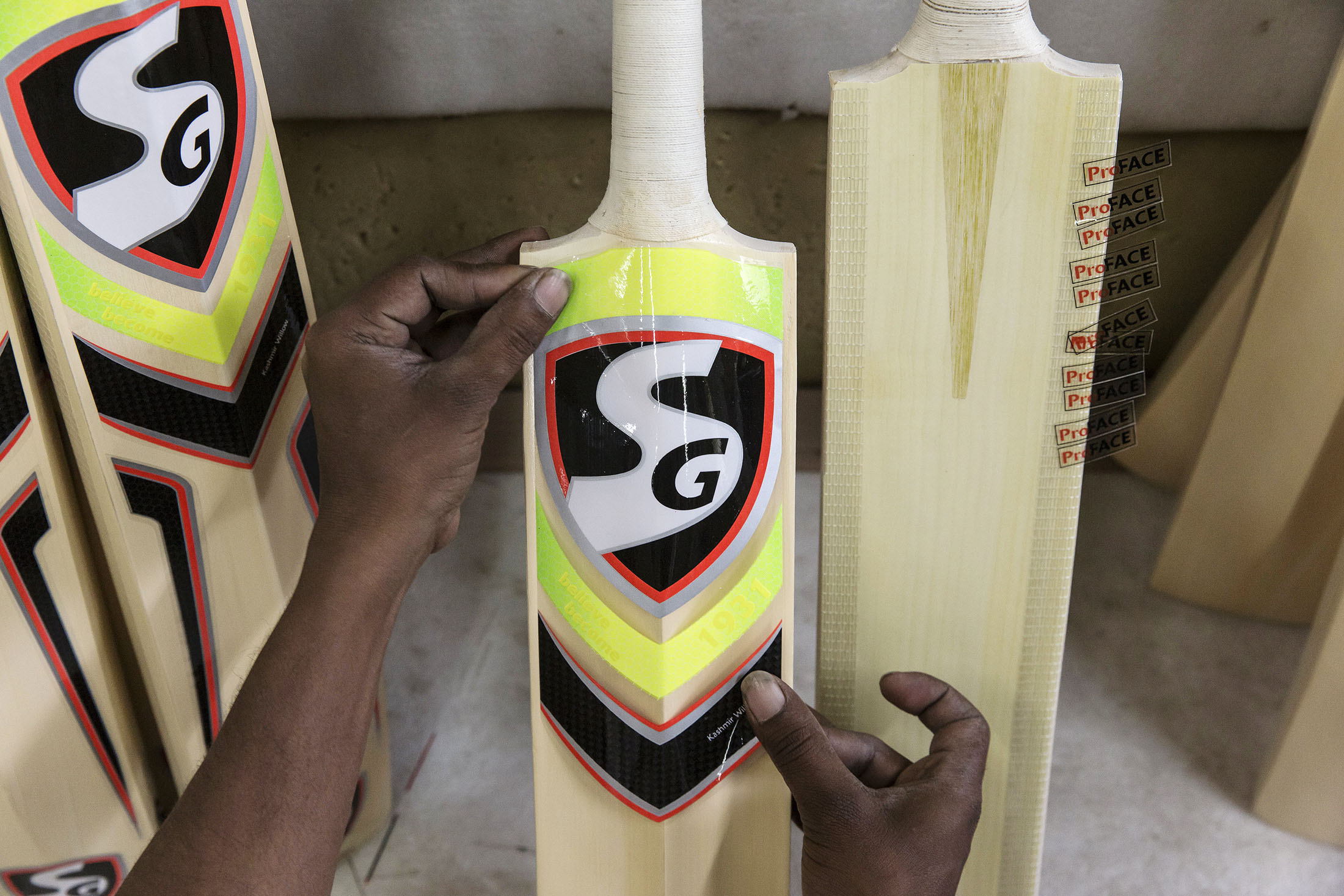 The Cricket Factory Where Dreams Are Made Bloomberg