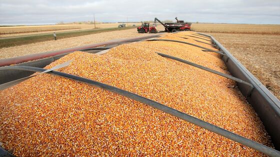 Brewin Dolphin's Mui: China Will Derive Growth From Domestic Economy, Not Exports (Video)