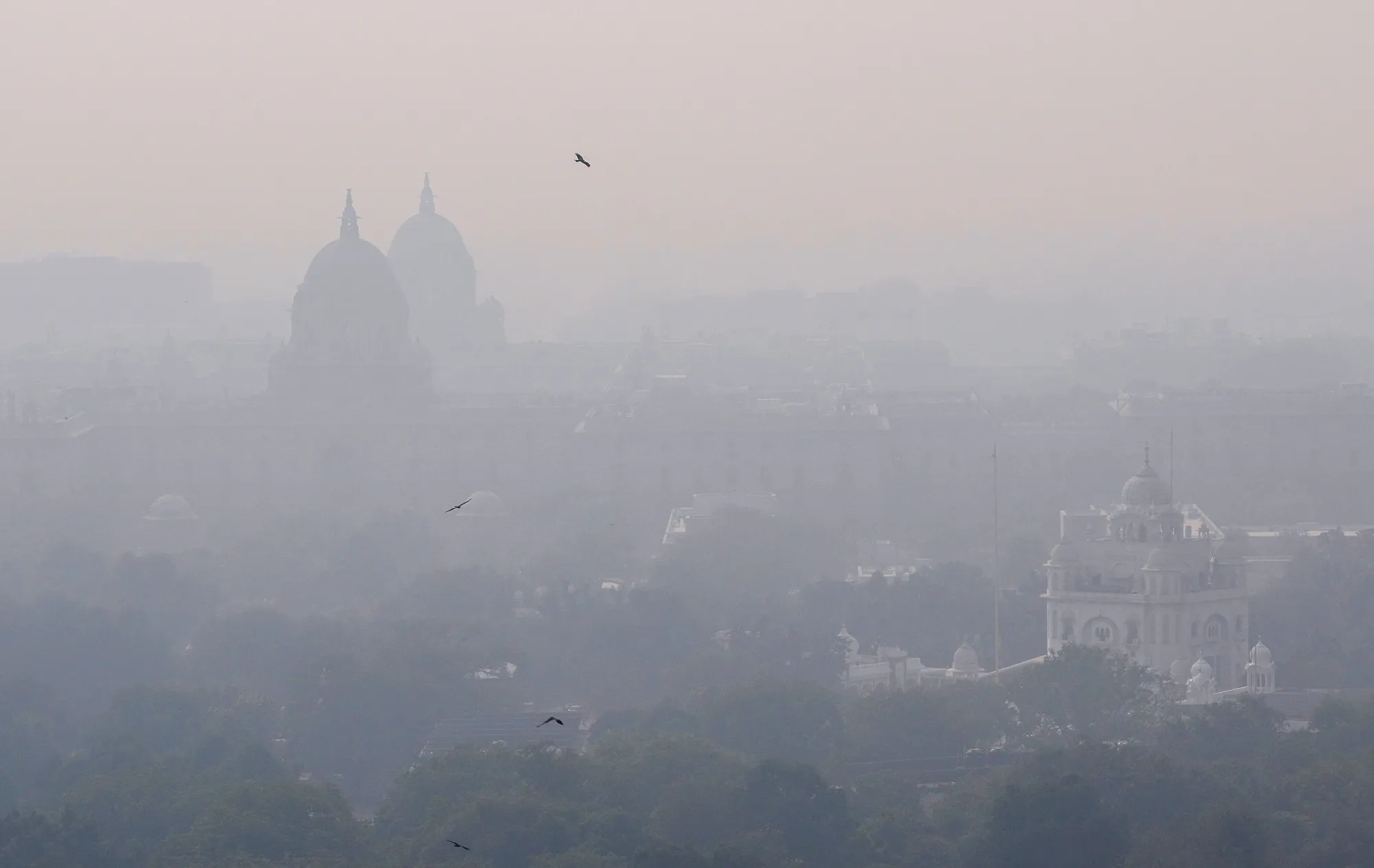 Smog engulfing New Delhi on Nov. 21.