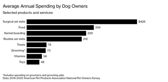 Silicon Valley Wants Dogs to Live Longer So Humans Can, Too