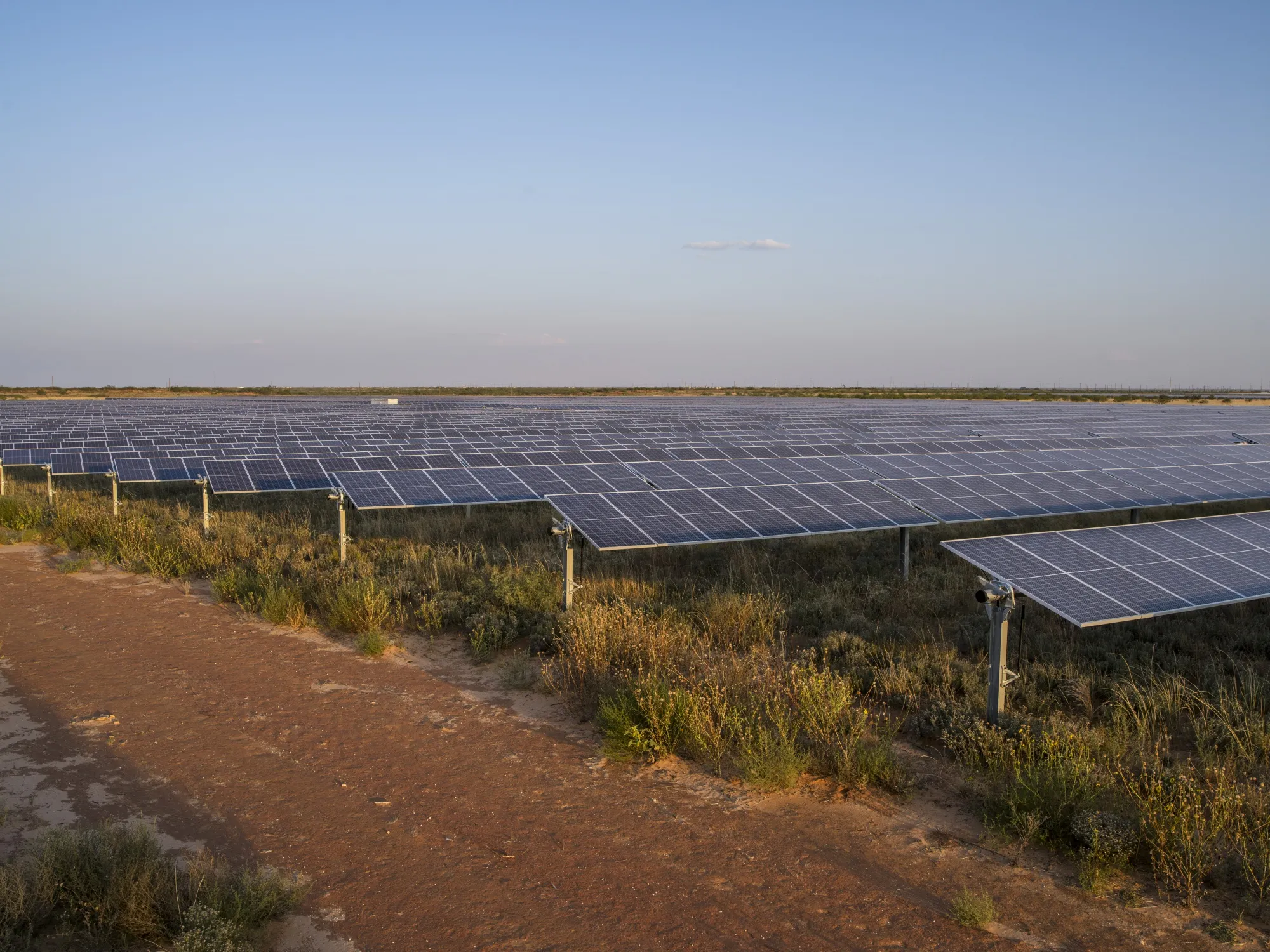 Yes, there are solar panels in Texas.