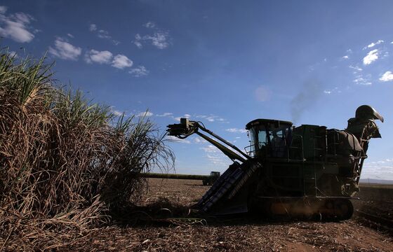 The Pandemic Is Dragging Brazilian Farmers Into the Digital Age