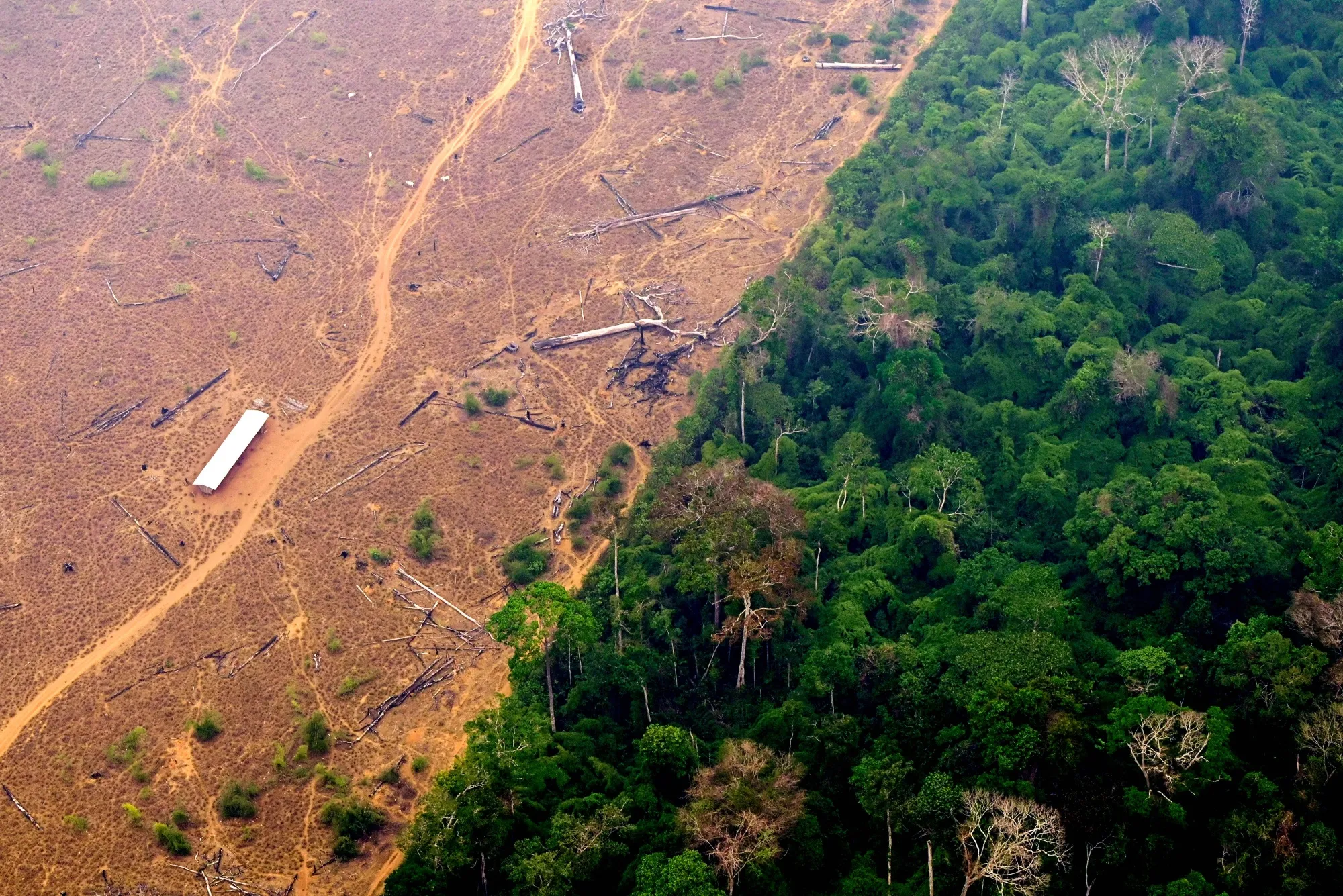 A&nbsp;deforested area of the Amazon rainforest in Labrea, Brazil.