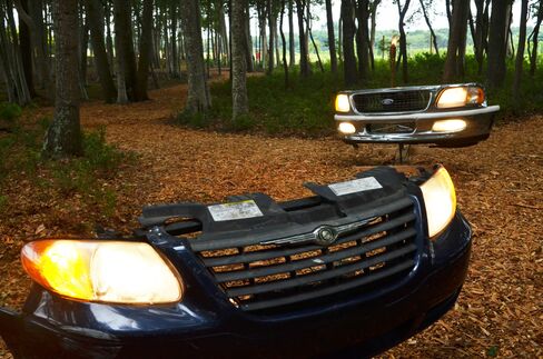 Bumpers in the forest