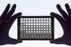 Research Into Cancer Conducted At The Cancer Research UK Cambridge Institute