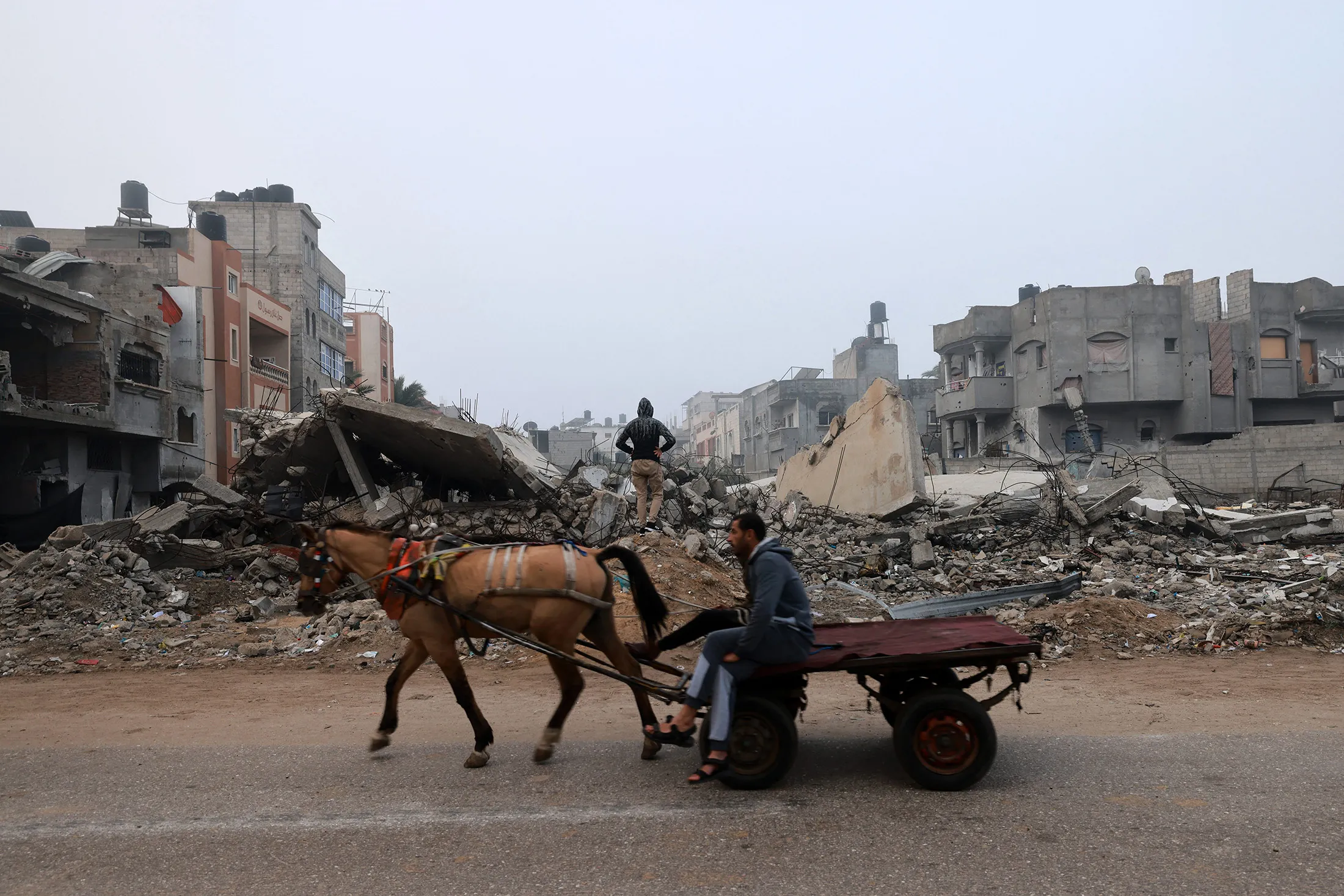 A resident rides a horse-pulled cart along a street ravaged by Israeli bombing in Rafah on Feb. 9.
