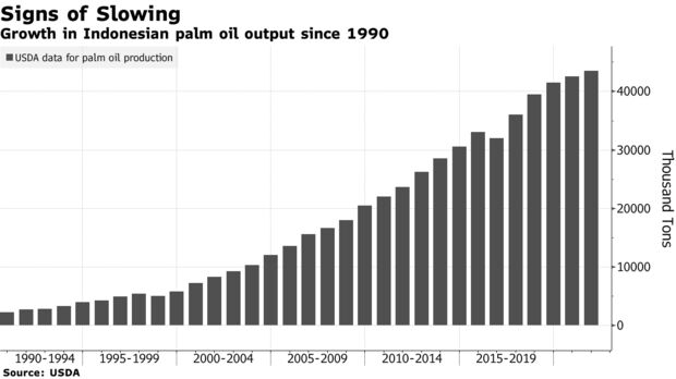 Growth in Indonesian palm oil output since 1990