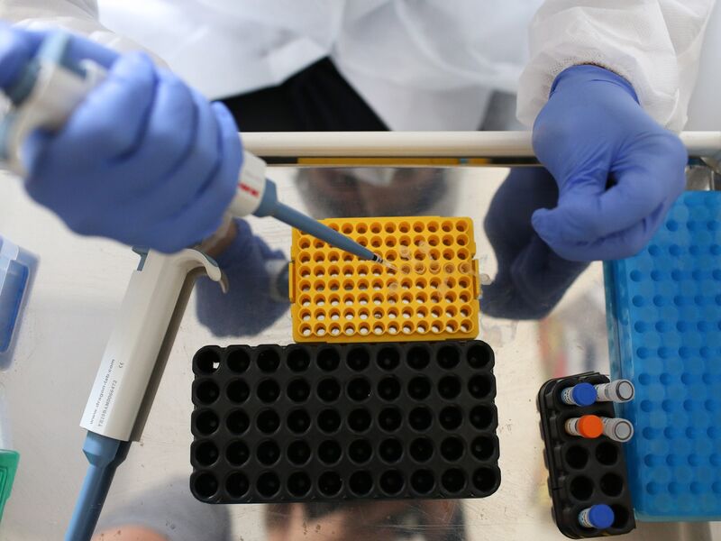 Rapid Coronavirus Testing At Russia's Sheremetyevo International Airport