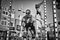 People Honorable Mention: Muscle Beach Gym