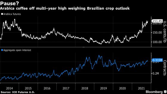 Arabica Coffee Drops With Improving Outlook for Biggest Supplier