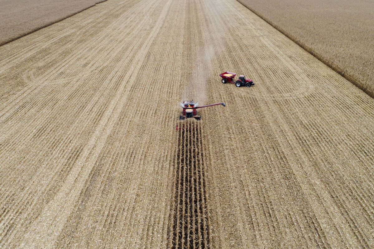 U.S. Corn, Poultry `On Table' During China Talks, Perdue Says