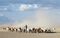 <p>Omo Valley</p>