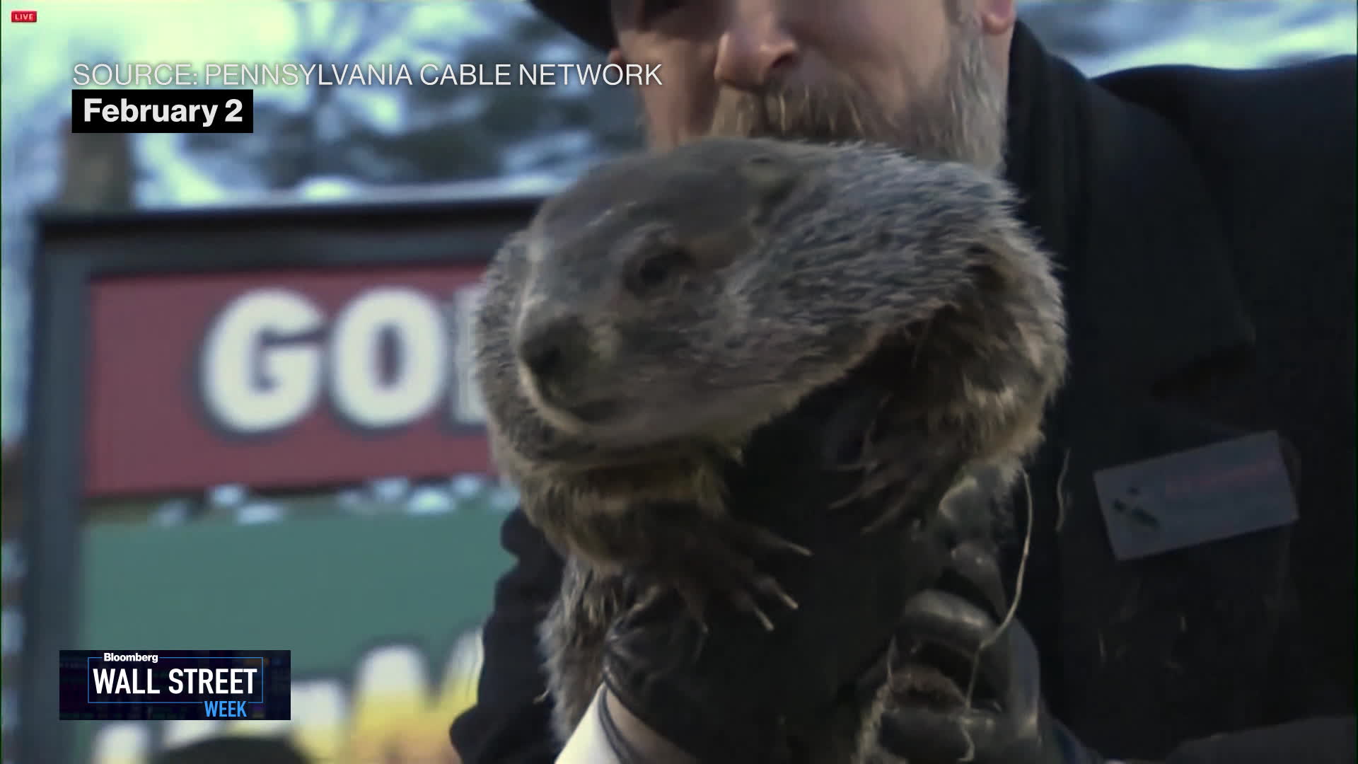 Watch Groundhog Day! Bloomberg