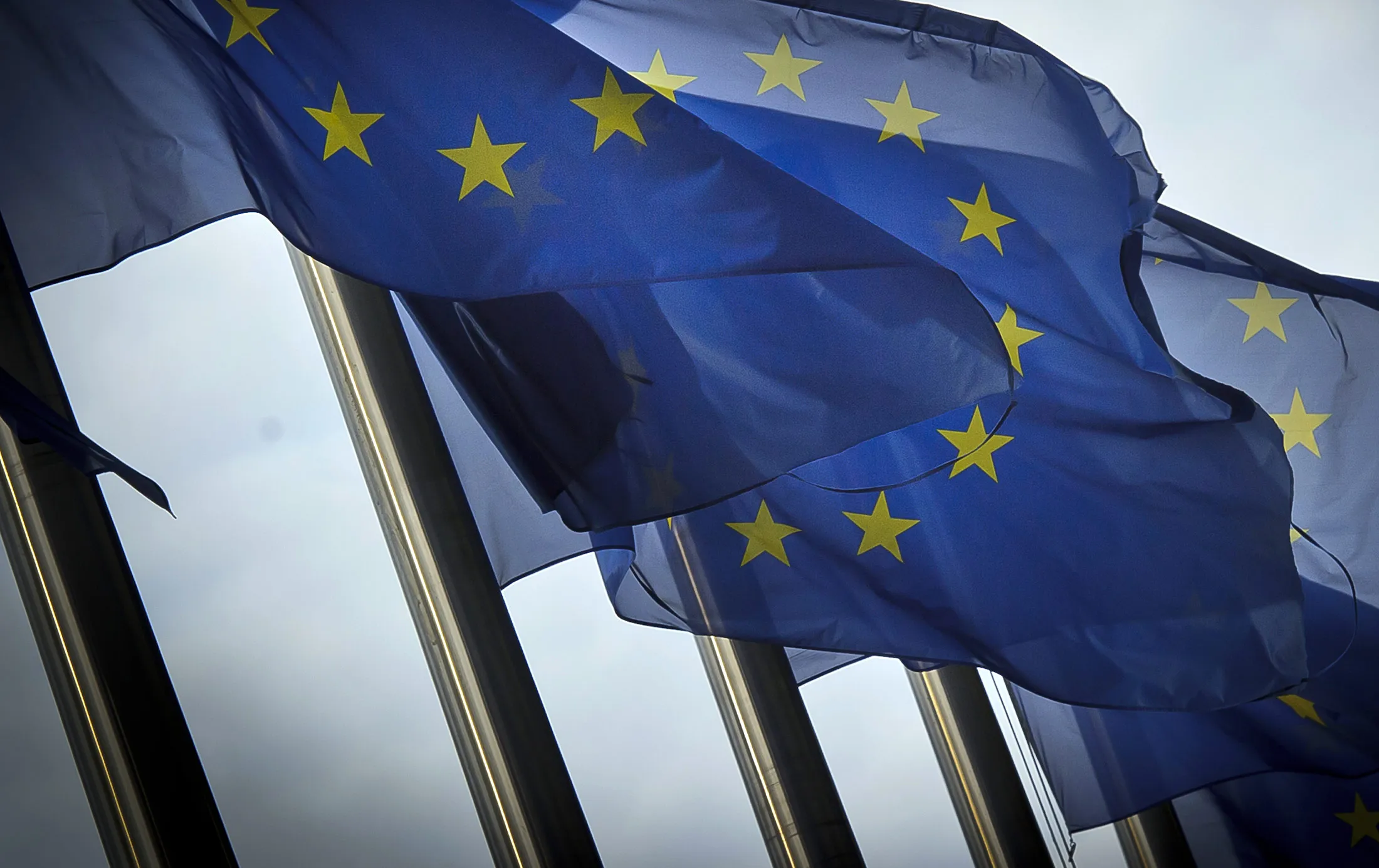 European Union flags.
