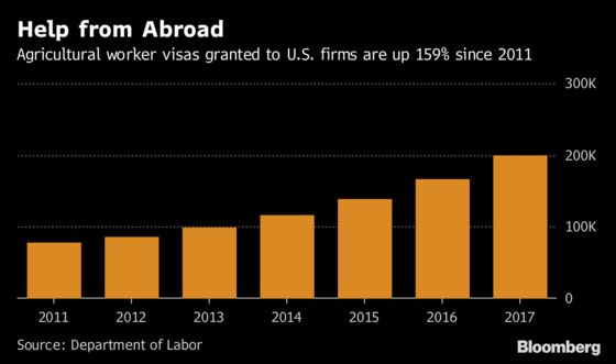 Legal Immigration Soaring as Mexican-Border Showdown Heats Up