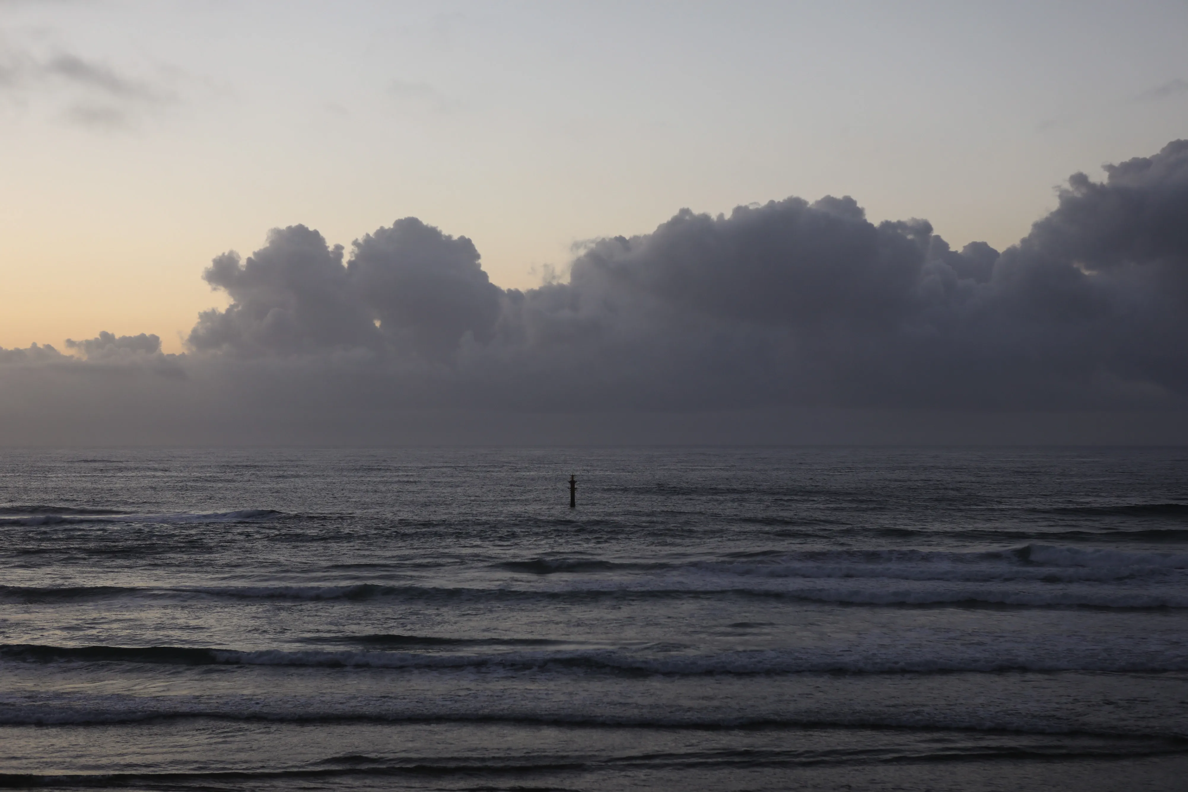 Almost half of the world’s oceans are currently experiencing heat waves.