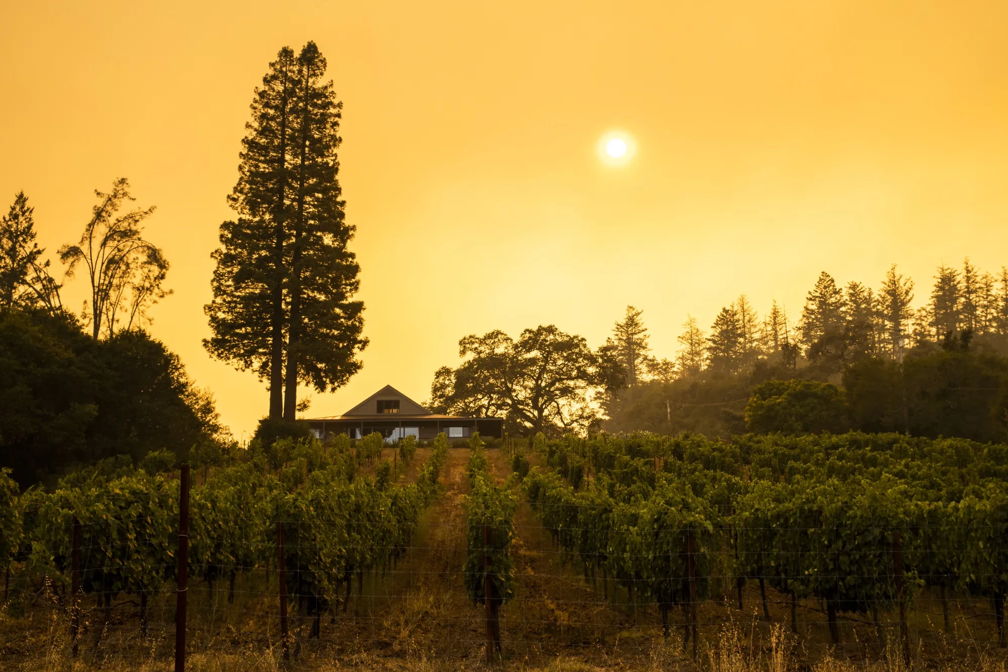 The sun obscured by smoke from wildfires&nbsp;in Sonoma County, California, on Aug. 22, 2020.