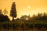 The sun obscured by smoke from wildfires in Sonoma County, California, on Aug. 22, 2020.
