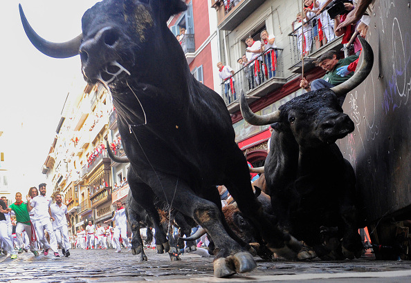 The bulls are charging on Wall Street.&nbsp;