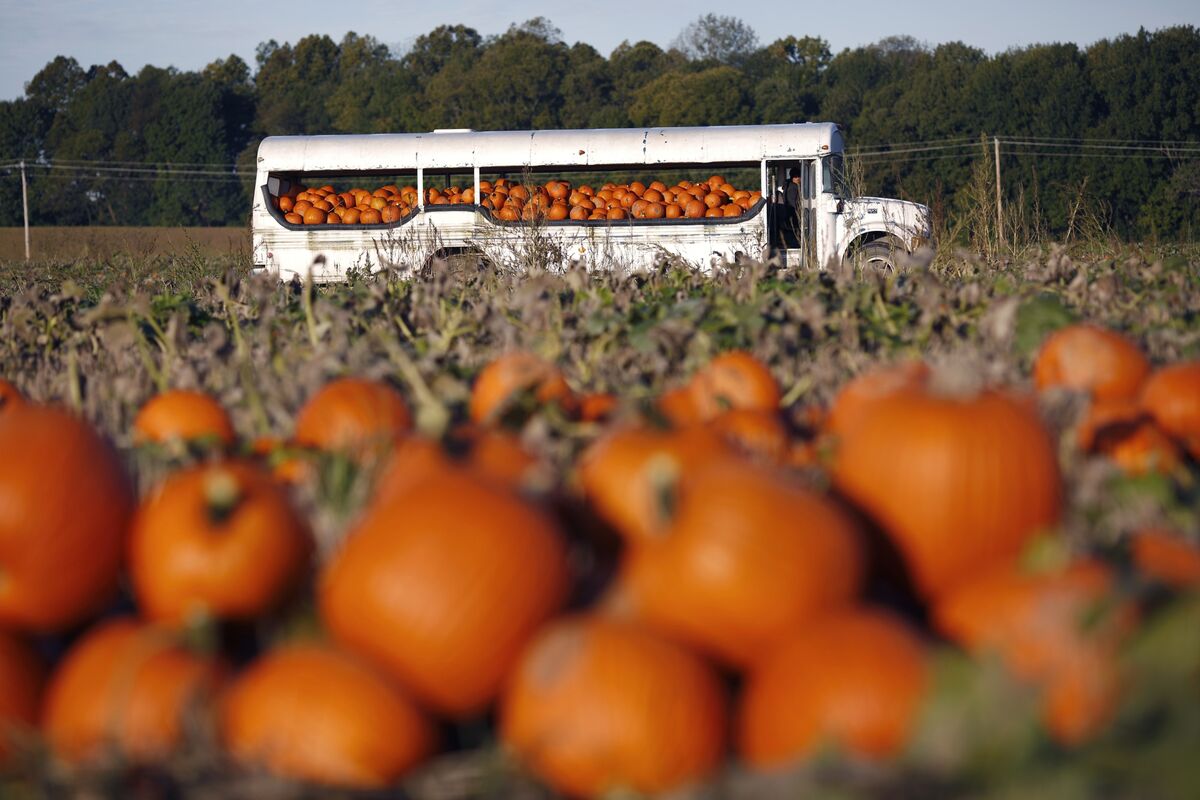 Is October Crypto's Great Pumpkin?