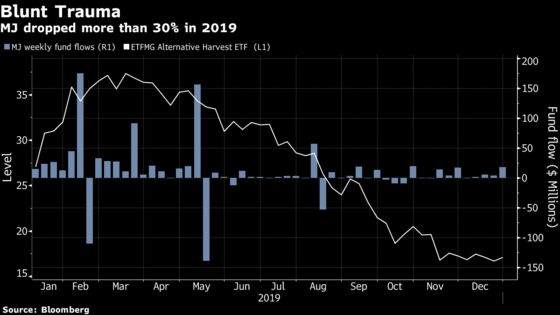 Even 30% Rout Can’t Stop ETF Investors Chasing Cannabis Returns