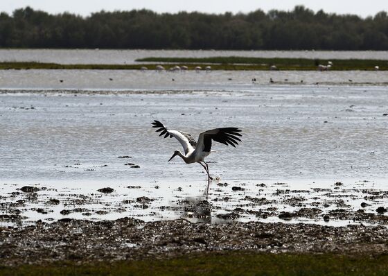 EU Threatens Spain Over Tapping Water From Protected Wetlands