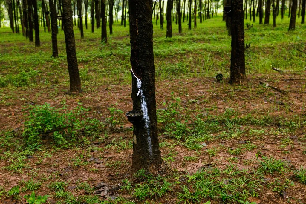 The synthetic kind doesn’t grow on trees.