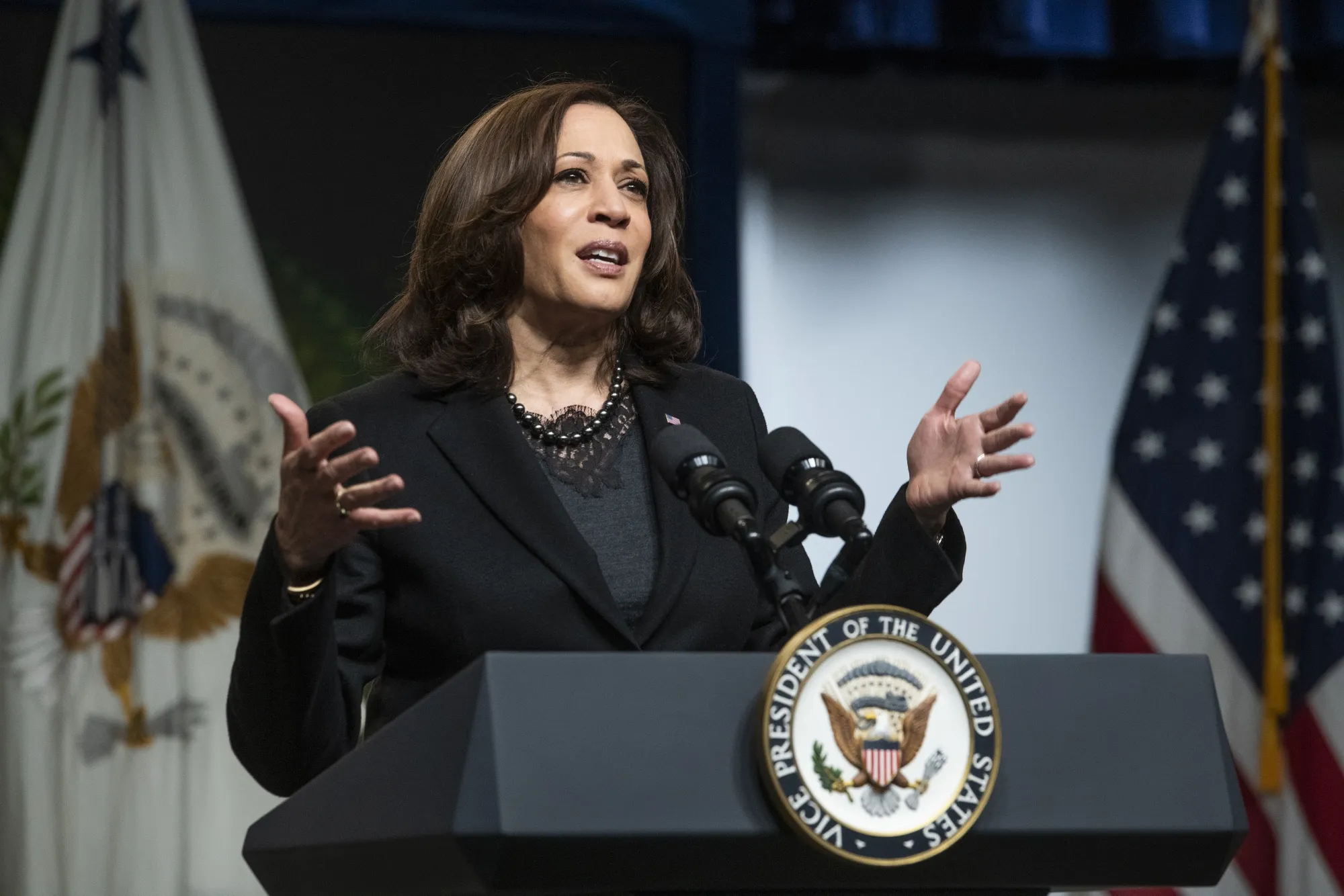Vice President Kamala Harris&nbsp;