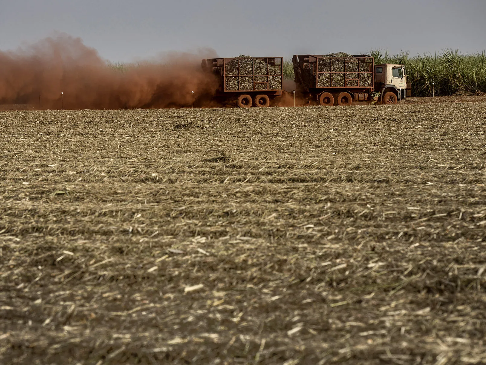 A truck loaded with sugarcane drives past a harvested field at a farm in Sertaozinho, Brazil.