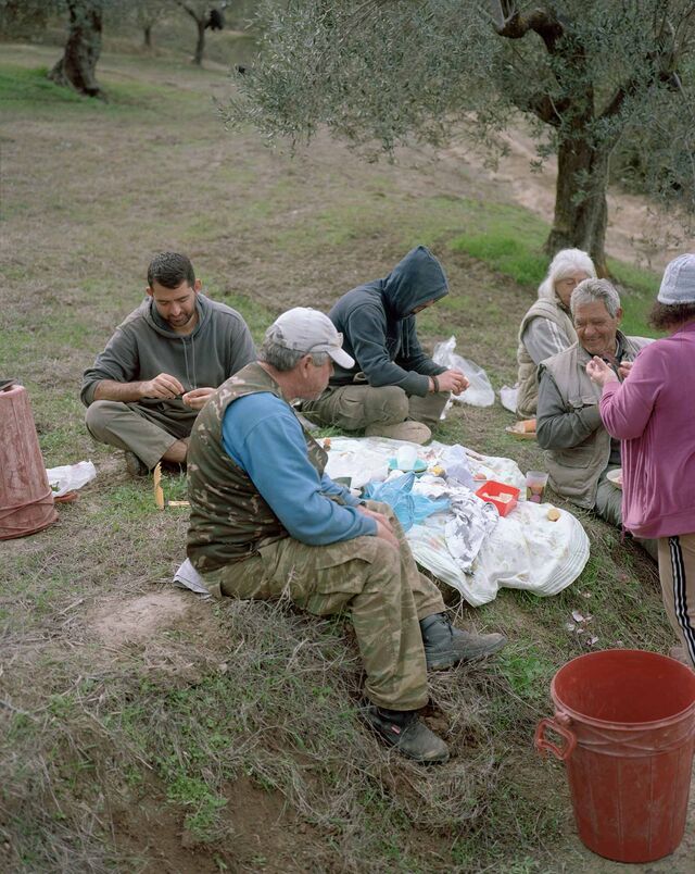 Workers taking a break from harvesting olives.